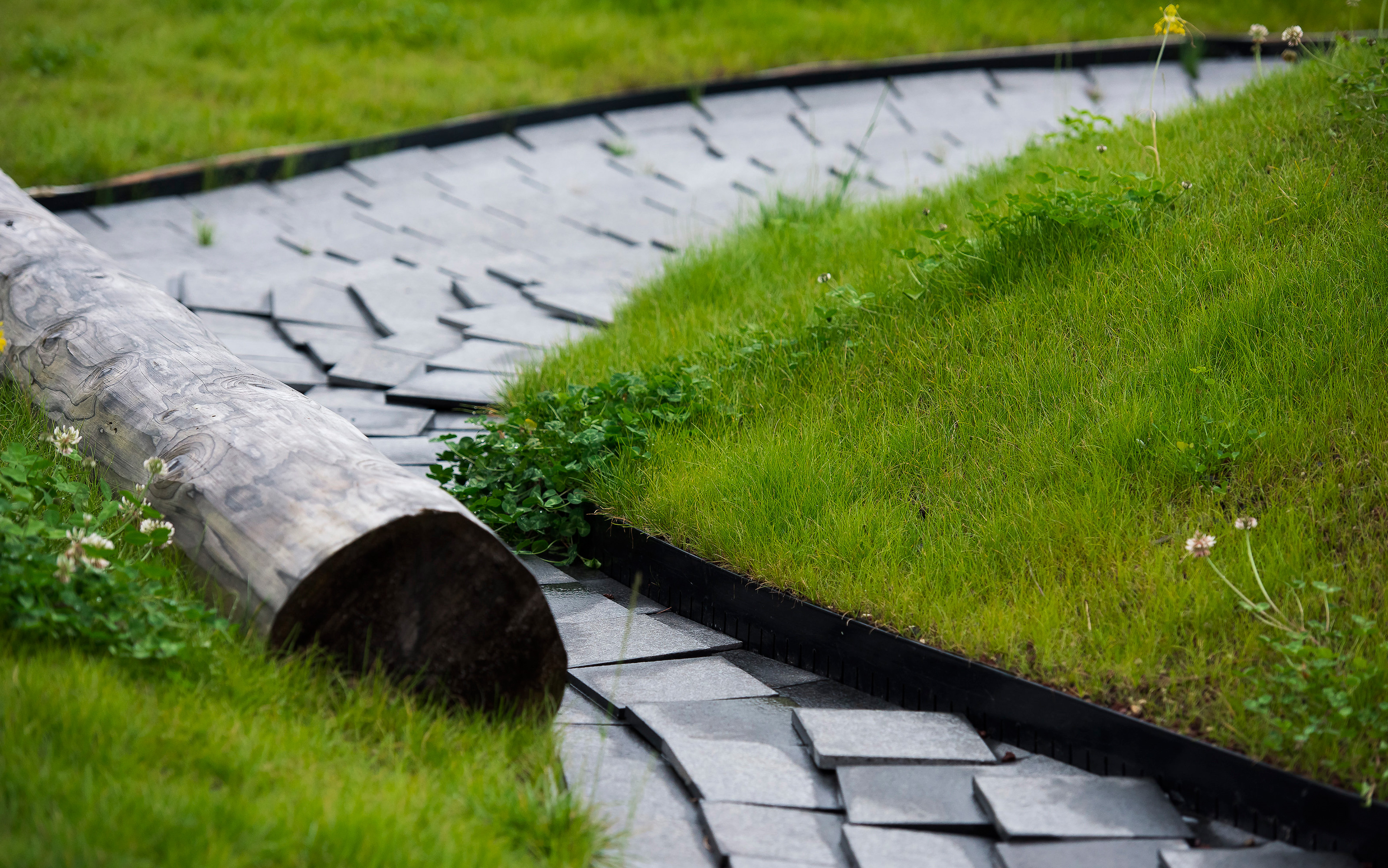 Lawn with tree trunk and walkway